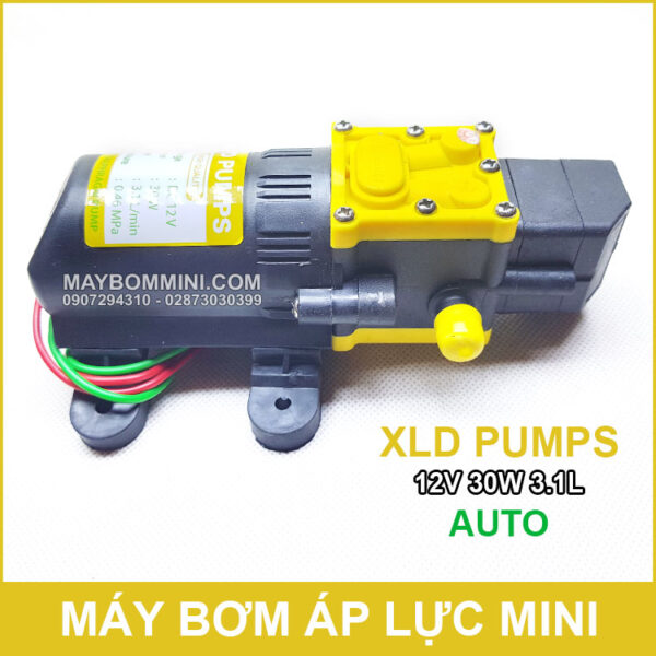 May Bom Ap Luc Mini Tu Dong 12v 30w Xld May Bom Ap Luc Mini Tu Dong 12v 30w Xld