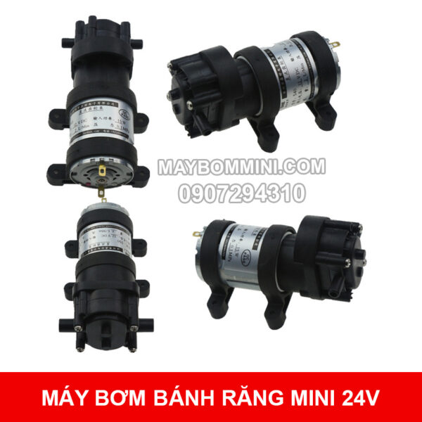 Ban Mya Bom Banh Rang 24v Ban Mya Bom Banh Rang 24v