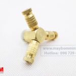 De Cuoi Gan Bec Phun Suong.jpg