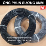 Phun Suong Ong Day.jpg