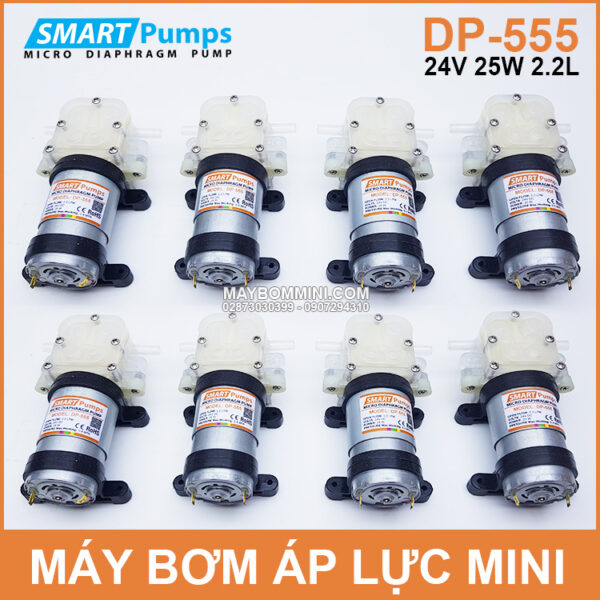 Ban Bom Nuoc Mini 24v DP 555 Ban Bom Nuoc Mini 24v DP 555