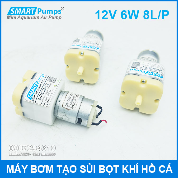 May Bom Oxy Mini 12v 8L Smartpumps May Bom Oxy Mini 12v 8L Smartpumps