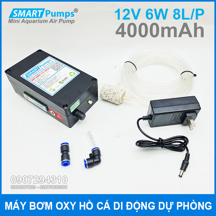 Ban Bom Oxy Mini Du Phong Ho Ca Canh Gia Re