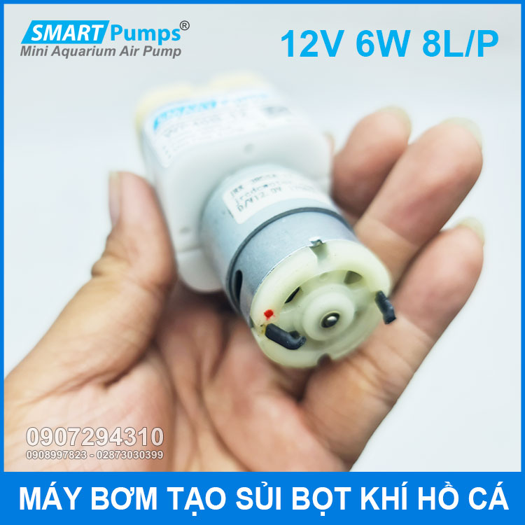 Motor May Bom Tao Oxy 12v Ho Ca Motor May Bom Tao Oxy 12v Ho Ca