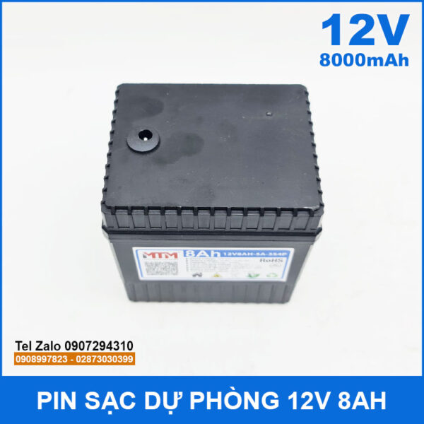 Pin 12v 8000mah Gia Re Pin 12v 8000mah Gia Re