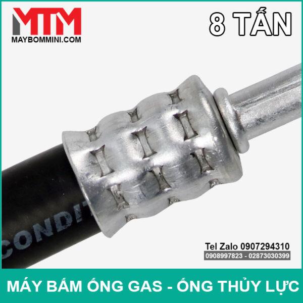 Ren Bam Ong Ap Luc 8 Tan Ren Bam Ong Ap Luc 8 Tan