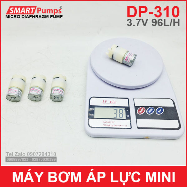 Bom Ap Luc 12v Ap Luc Mini DP 310 Bom Ap Luc 12v Ap Luc Mini DP 310