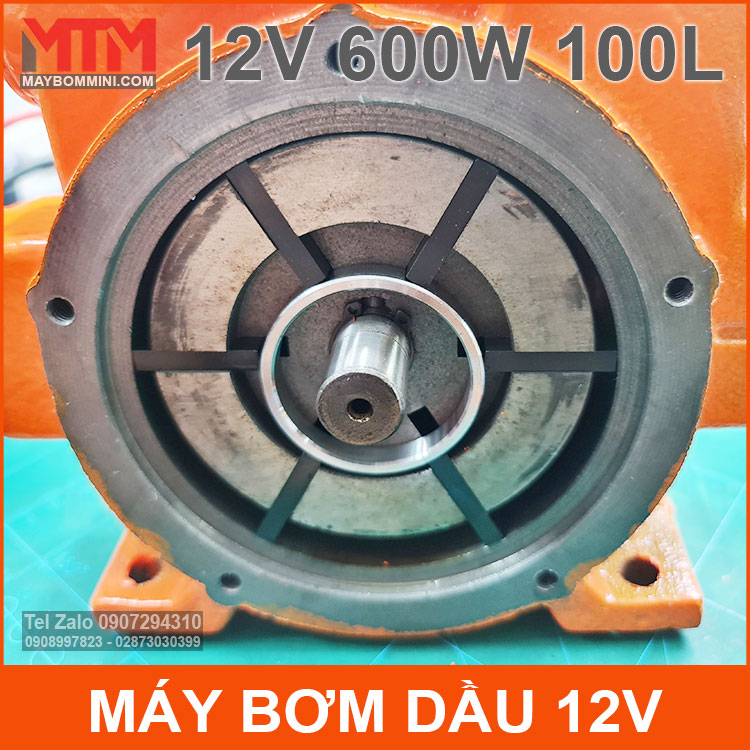 Dau Bom May Xang Dau 12v 600w Dau Bom May Xang Dau 12v 600w