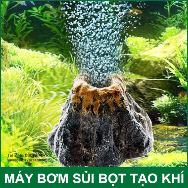 Dau Sui Bot Khi Ho Ca 220V 20W 30L Auto AC DC Resun