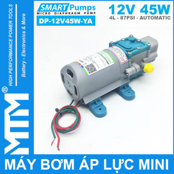 May Bom Ap Luc Mini Tu Dong 12V 45W 4L Smartpumps DP 12V45W YA Binh Phun Thuoc Sau