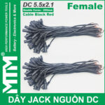 Day Jack DC 250mm Cai Female Jack Cable Adapter Plug Power Supply